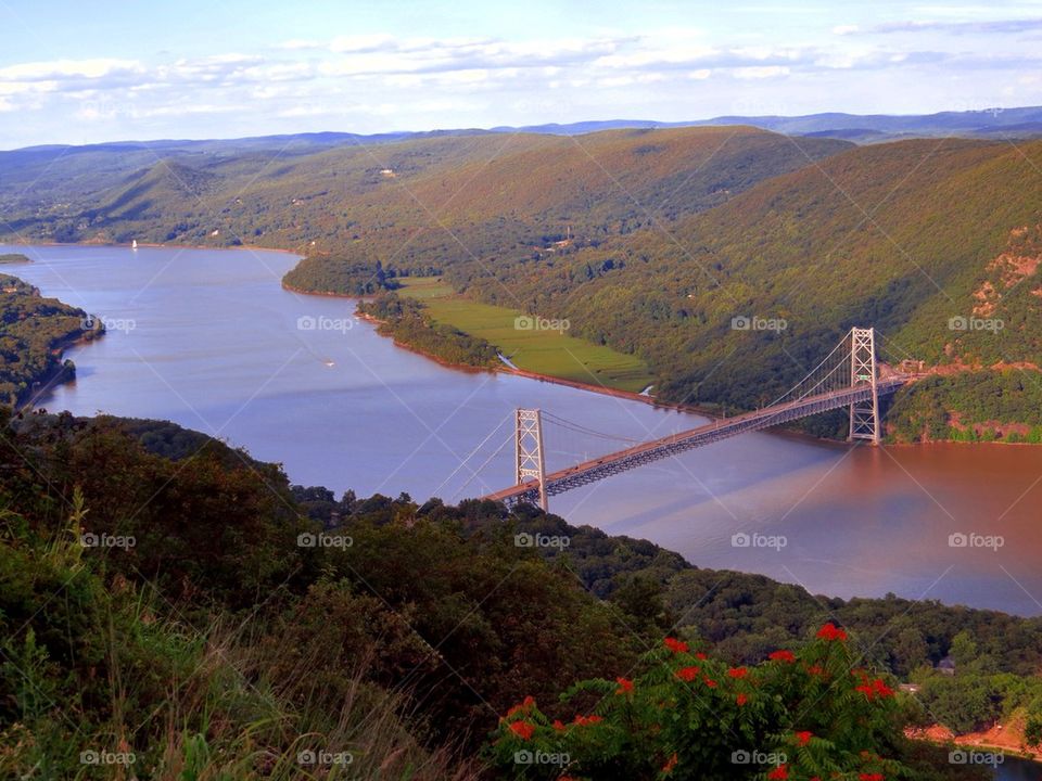 Bridge over the river