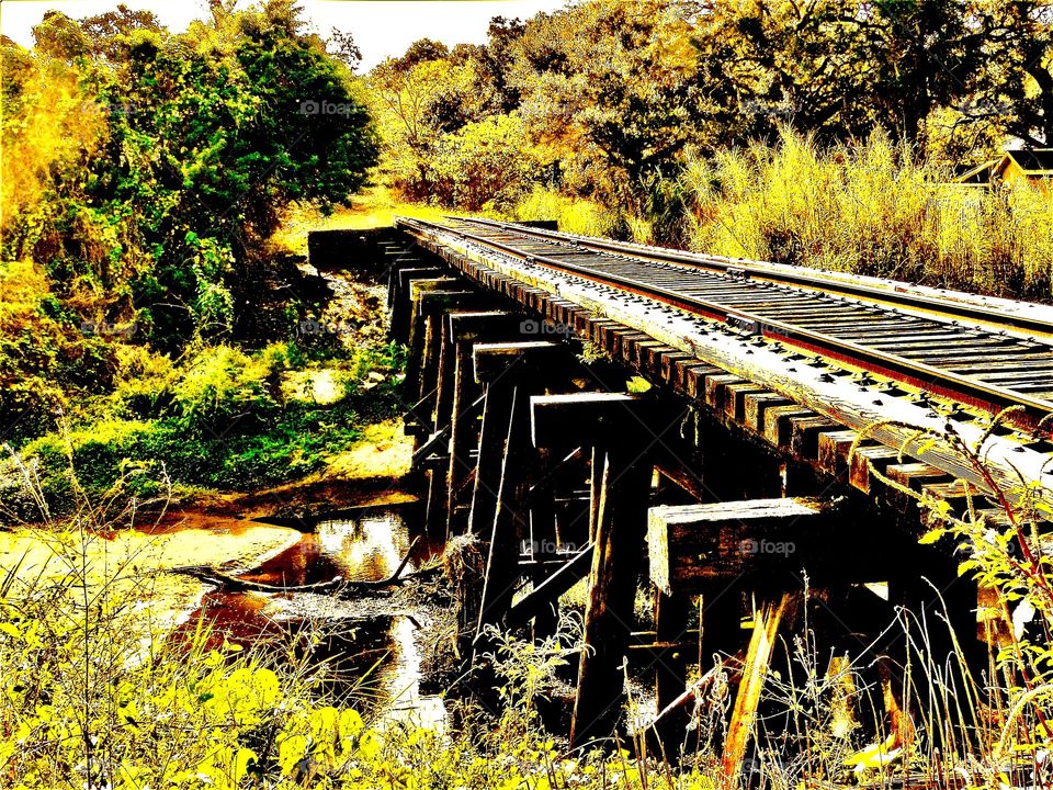 Railway bridge
