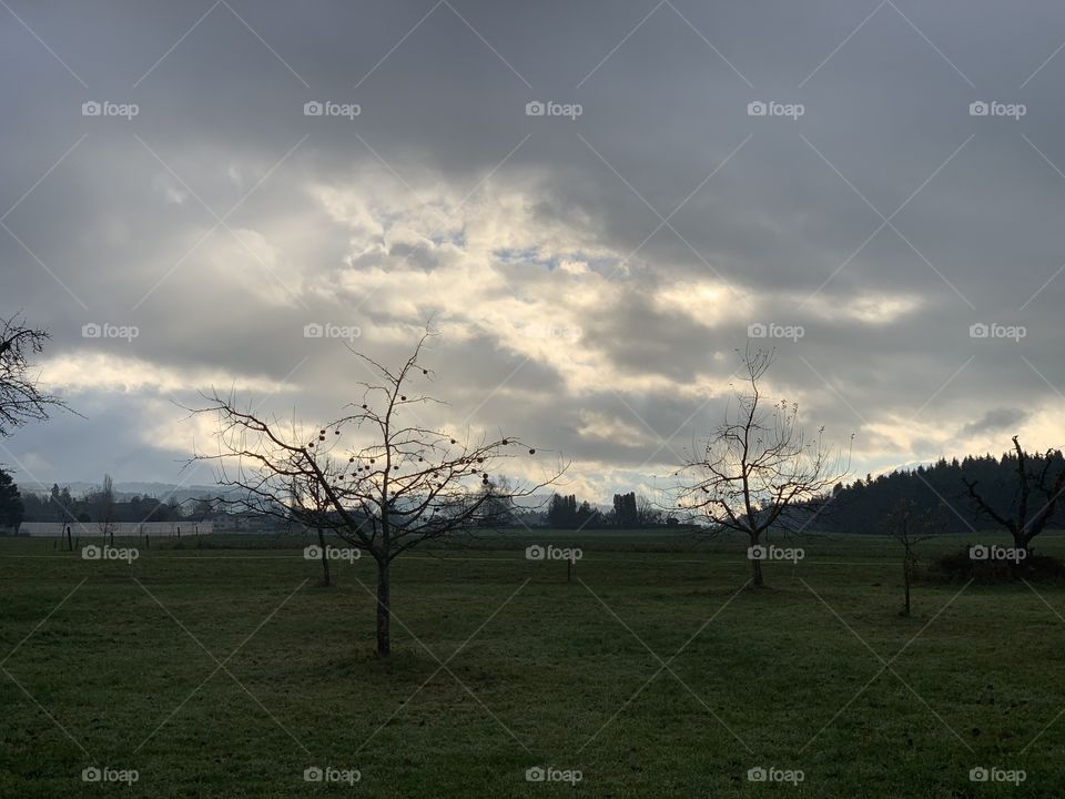 A village in the Swiss country