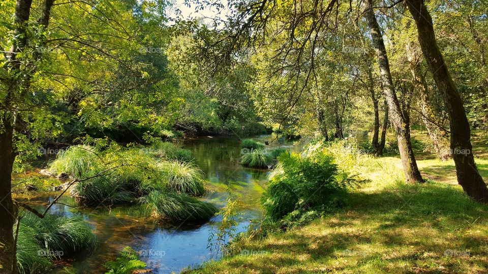 Autumn by the river