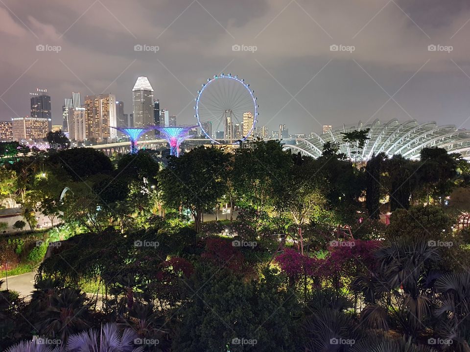 Singapore night life