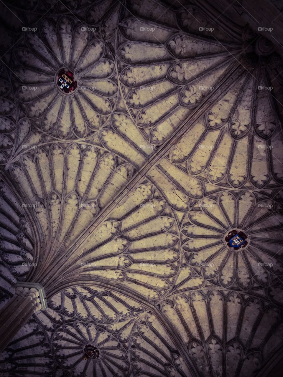 Hidden Mickey. Ornate ceiling in Christ Church in Oxford