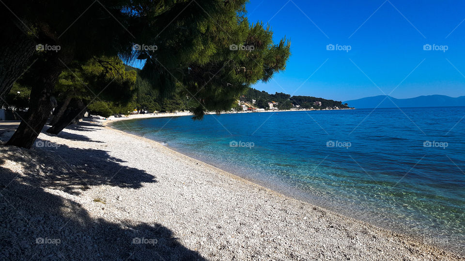Scenic view of beach
