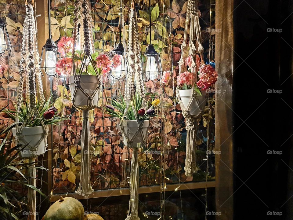 Editor's Choice: Photo of the Week