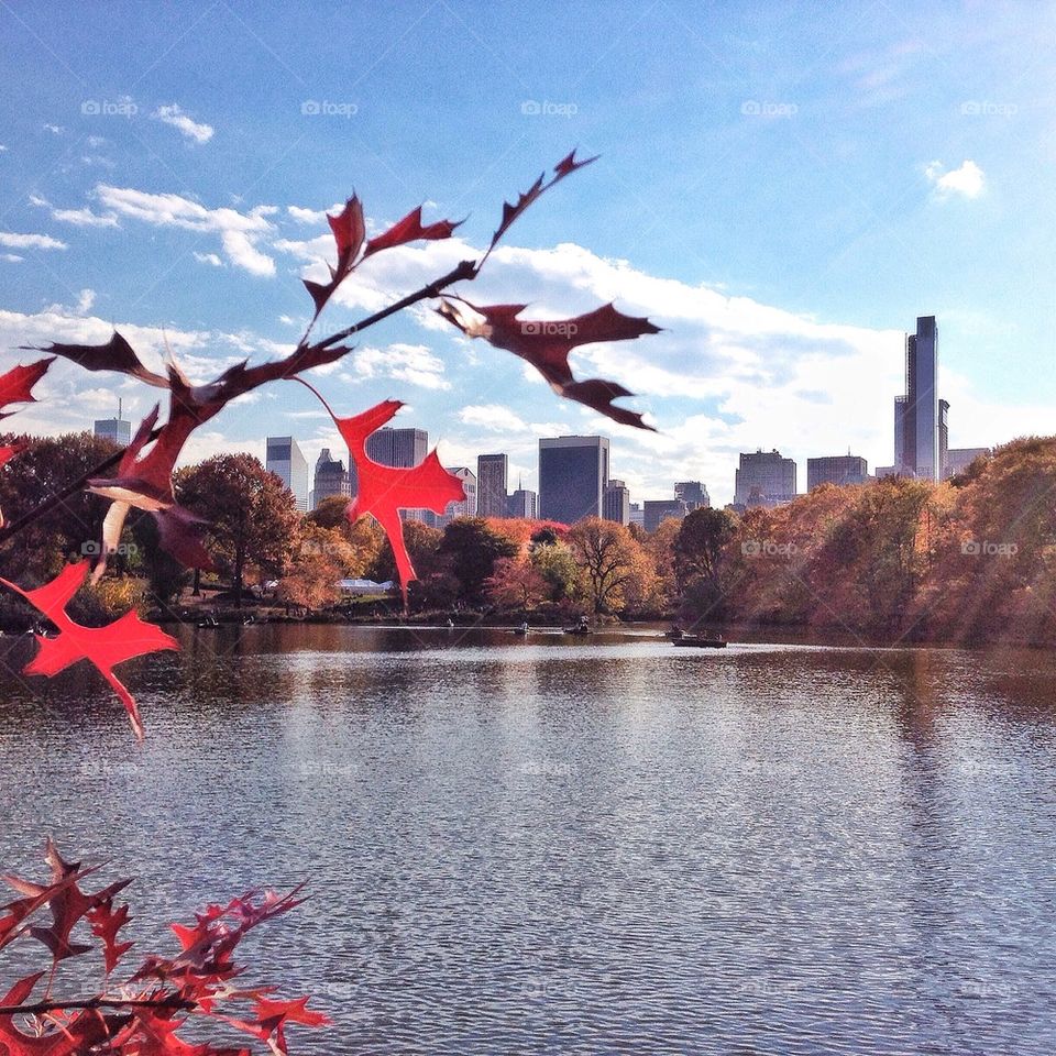 Central park nyc