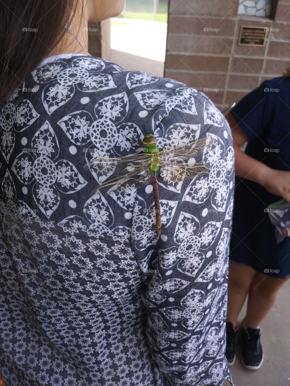 large green dragonfly on woman's shoulder