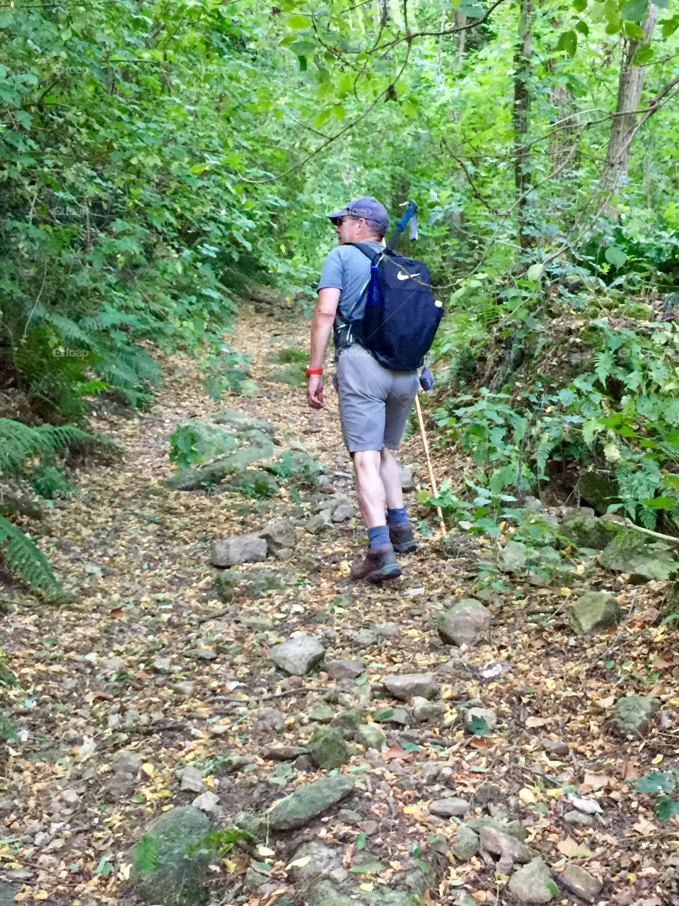 Senior Man hiking on a groomed dirt forest trail