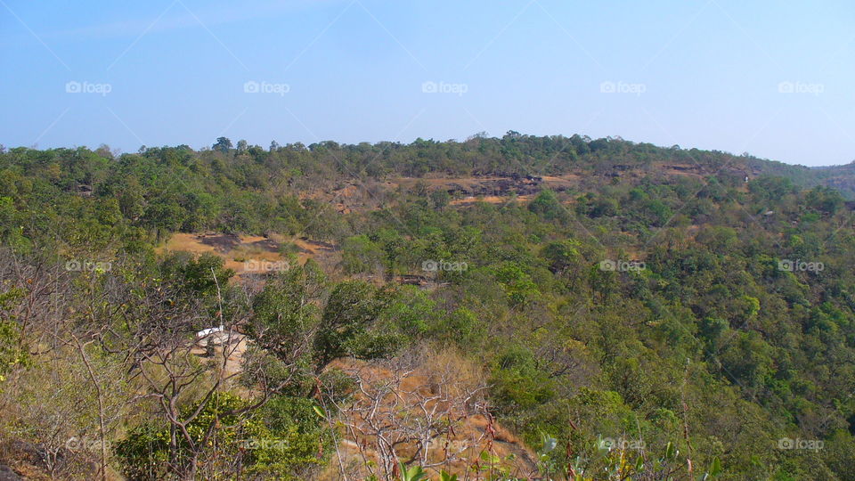 Landscape, No Person, Tree, Travel, Nature