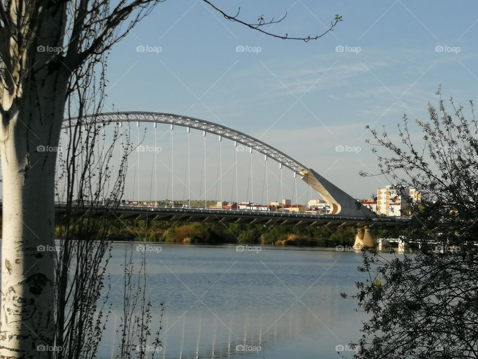 Bridge