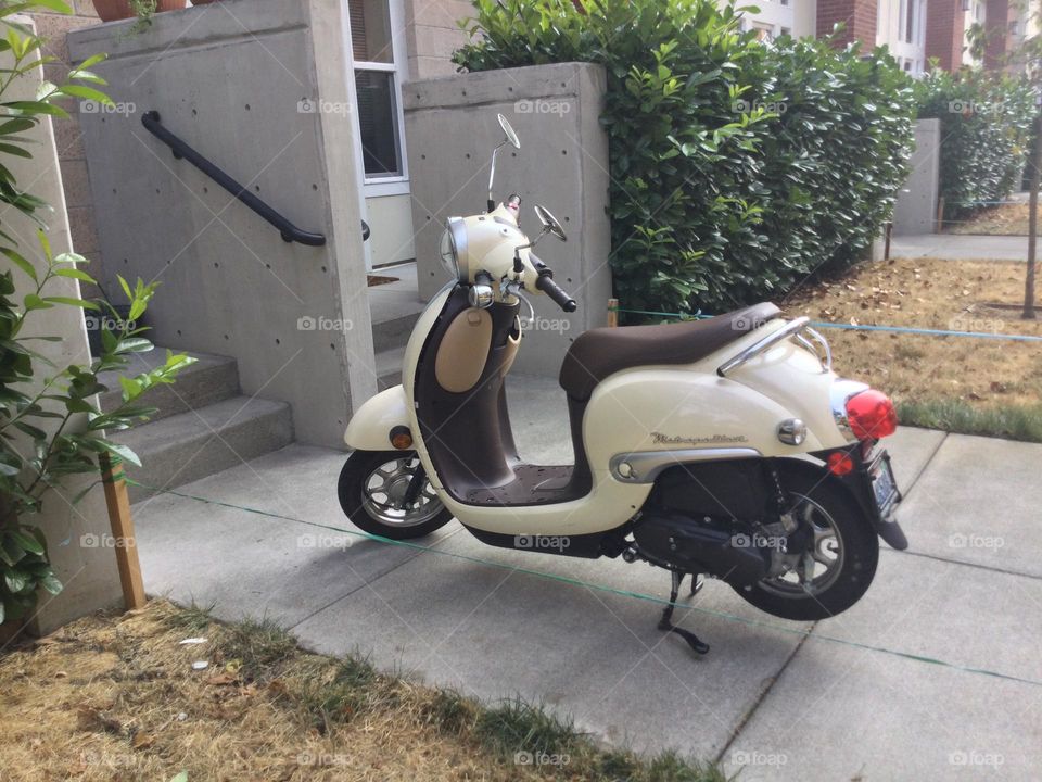 A Scooter in the Driveway 