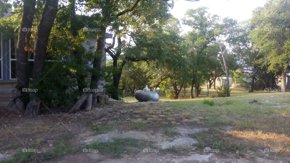 Walkway to the Water