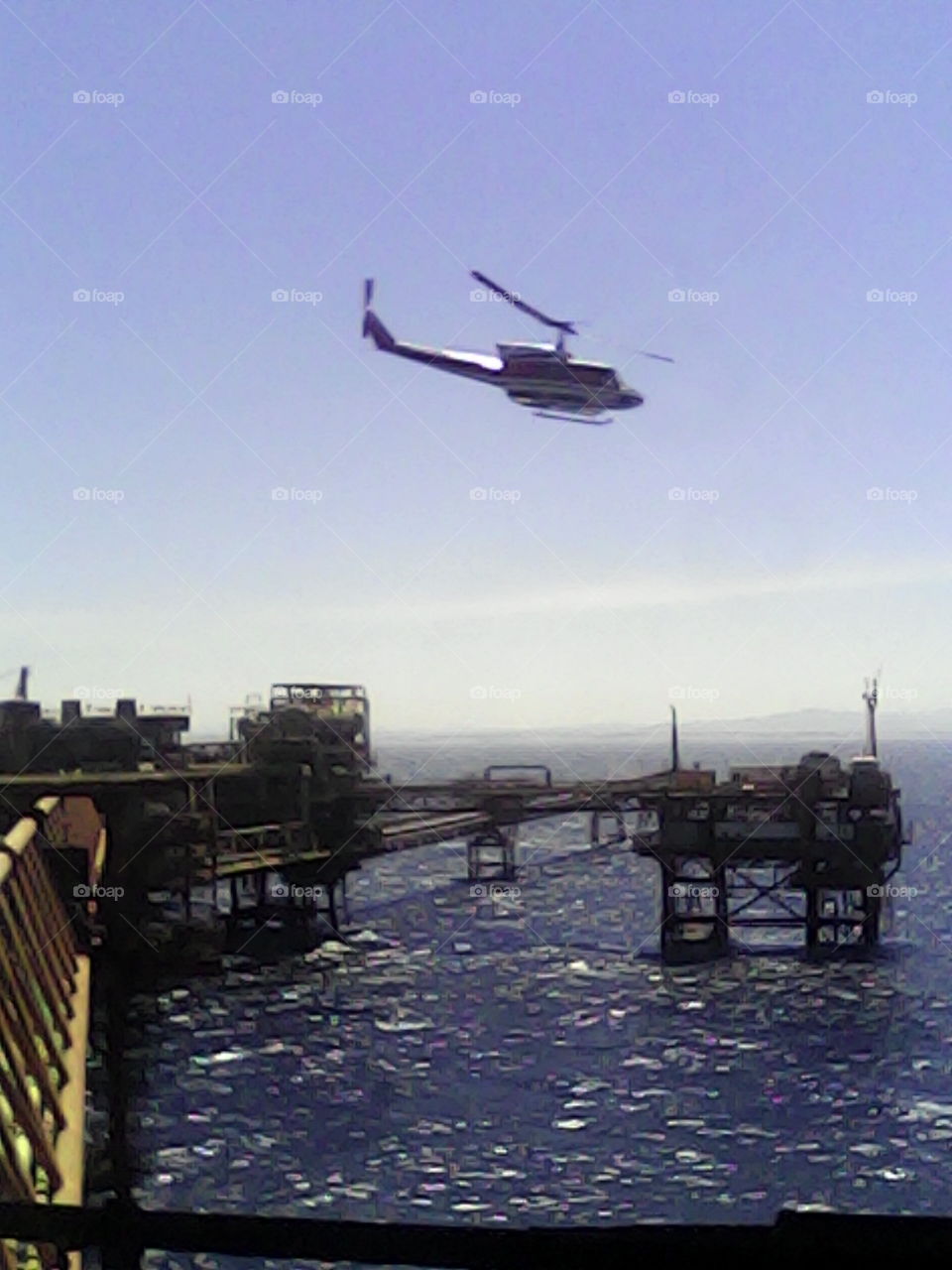 Offshore plants and flights 