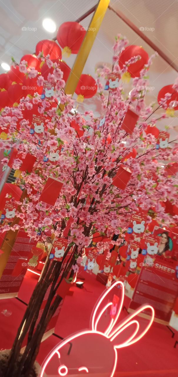 Rabbit in many areas of the world, a part of daily life—as food, clothing, a companion, and a source of artistic inspiration. And this year Chinese Horoscope is Year of the Rabbit - represents peaceful and patient energy.