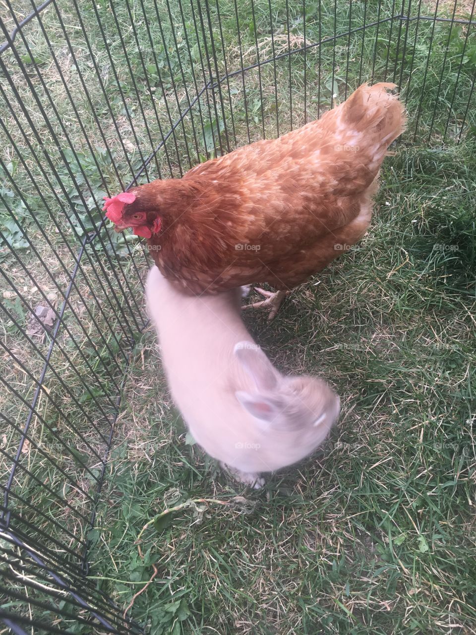 How Easter eggs are made 🤣