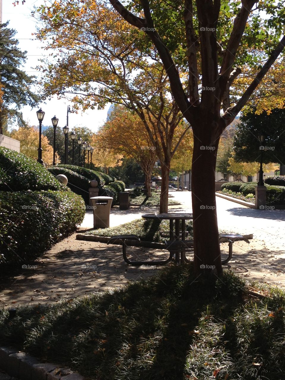 Fall day in midtown Atlanta in the park 