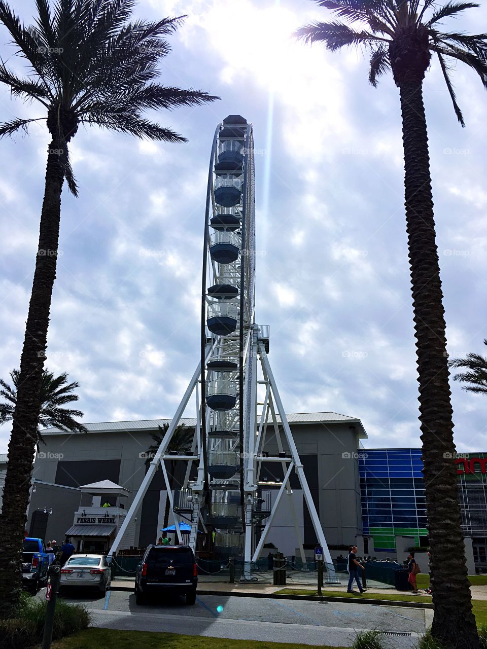 Ferris wheel at the wharf