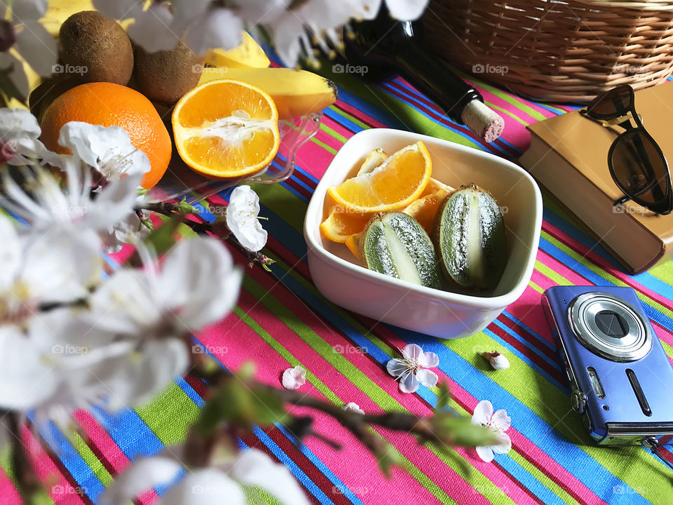 Fruits, basket, bottle of wine, camera, book, sunglasses on colorful blanket for outdoor picnic 