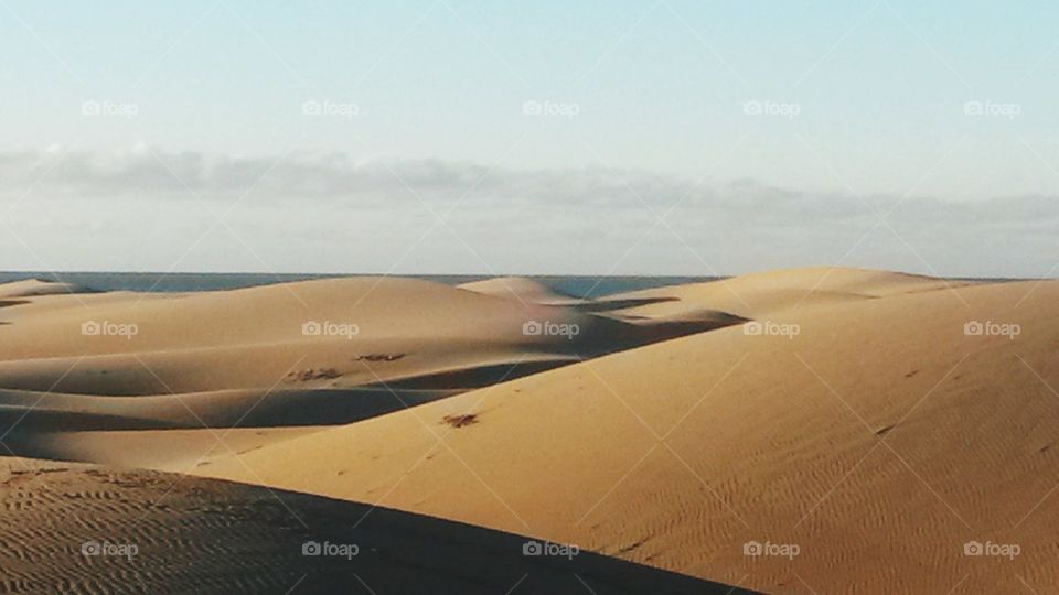 Canarie dunes