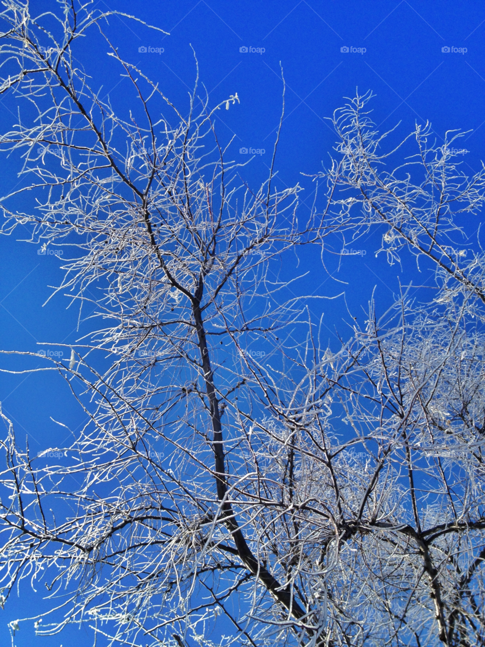 ice icy snow winter by somebeach