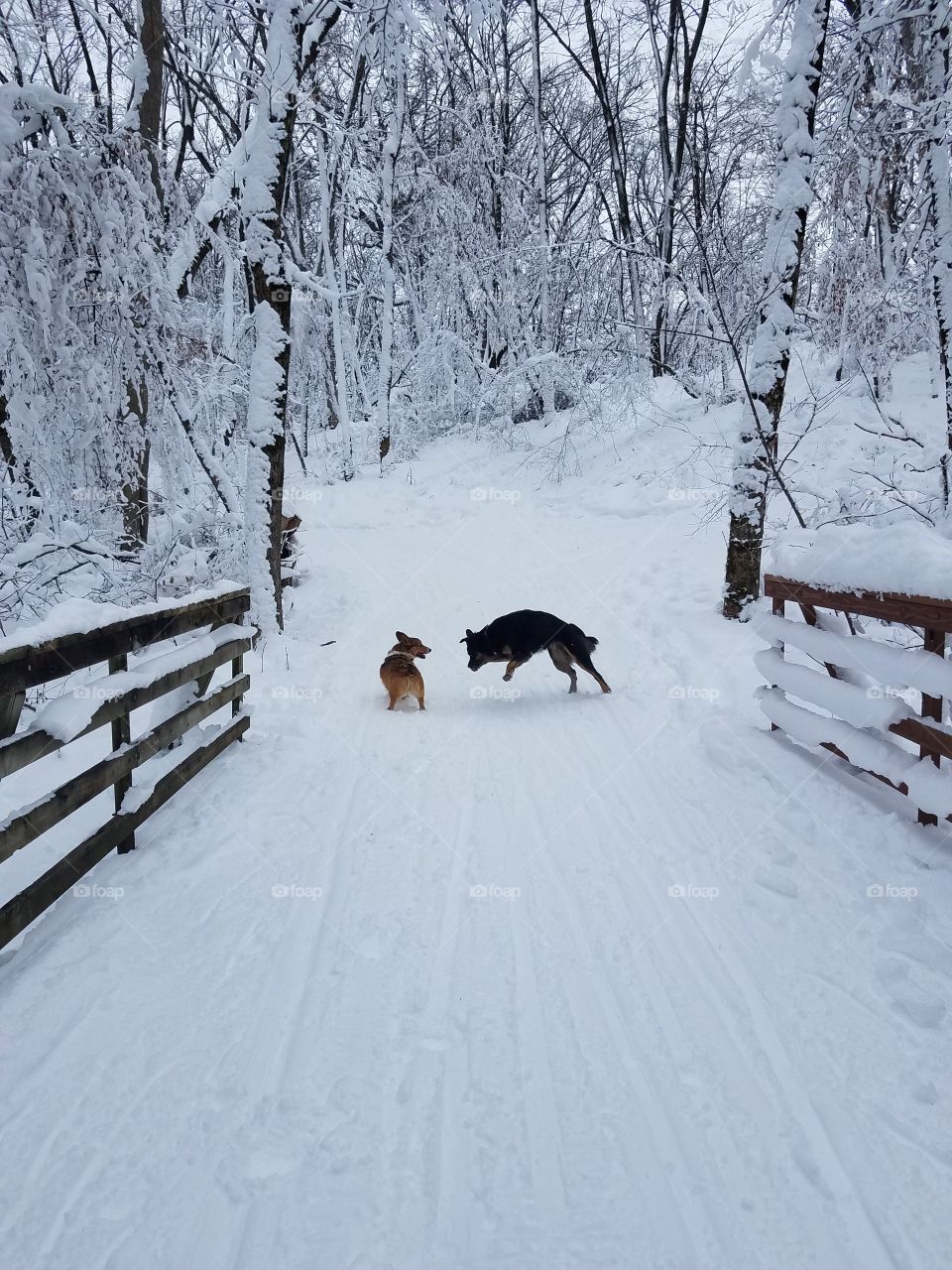 winter play time