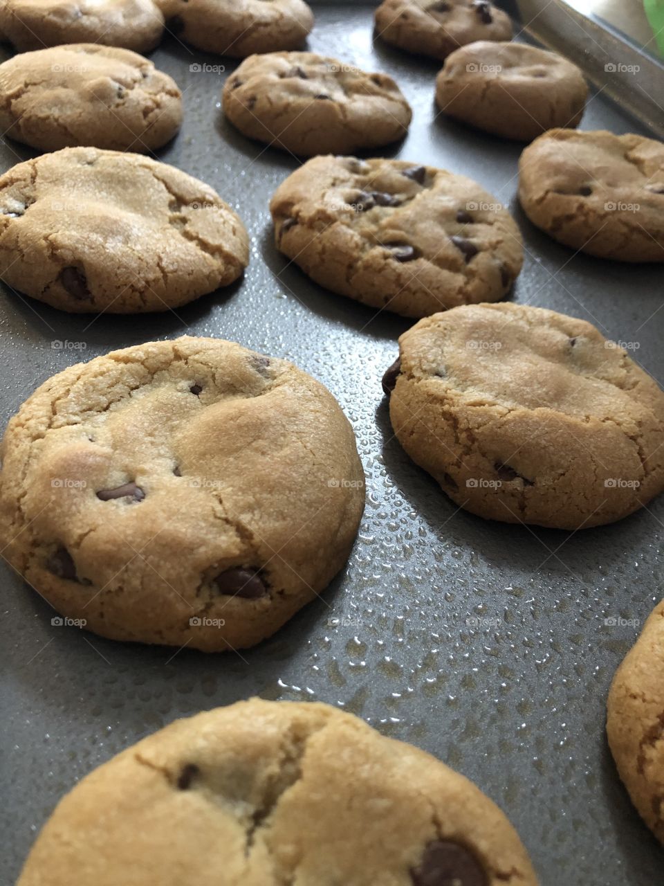 Homemade chocolate chip cookies 🍪