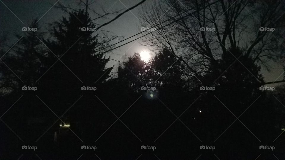 before the sun, Black Friday