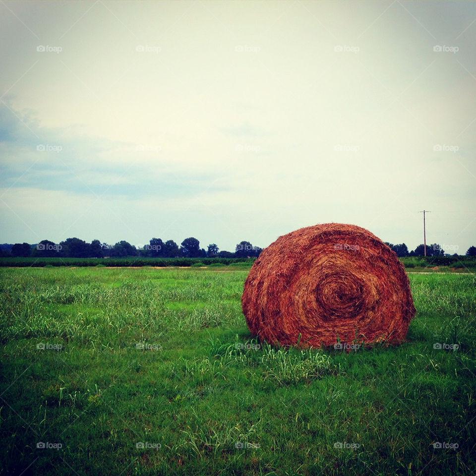 tennessee field grass country by ohhlookabunny