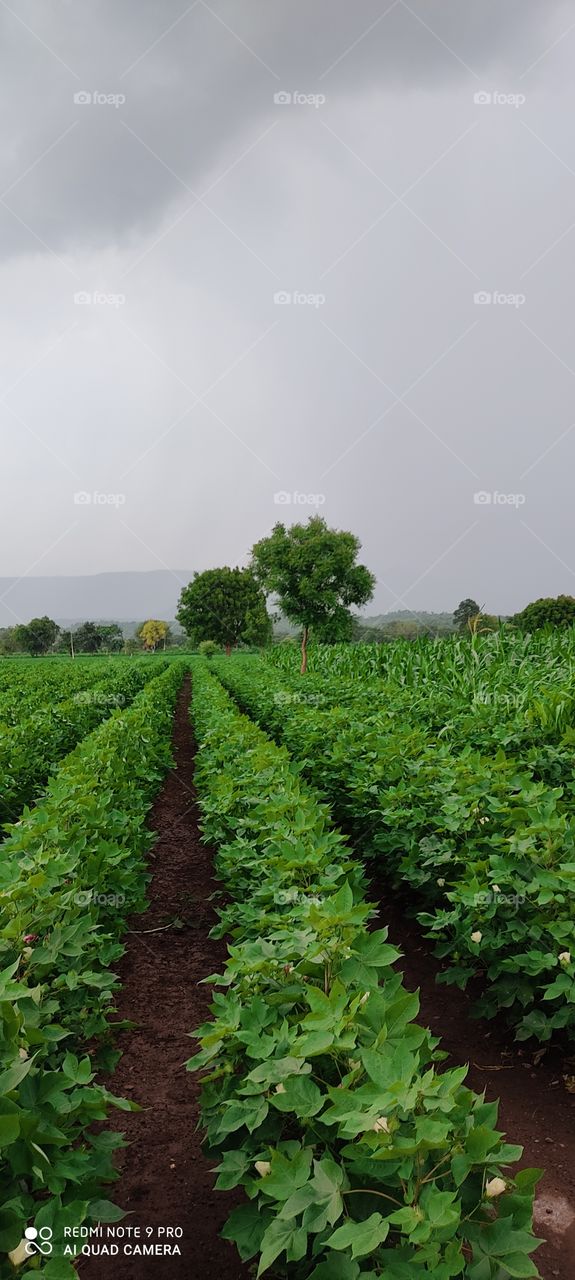 Water is falling over the hills