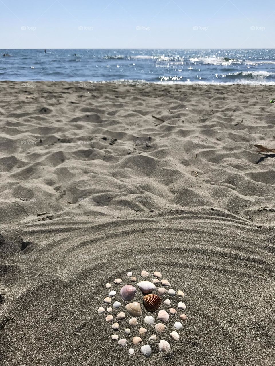 Beach with blue sea and sea shells