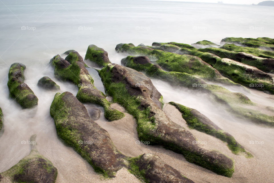 Green Reefs in Taiwan