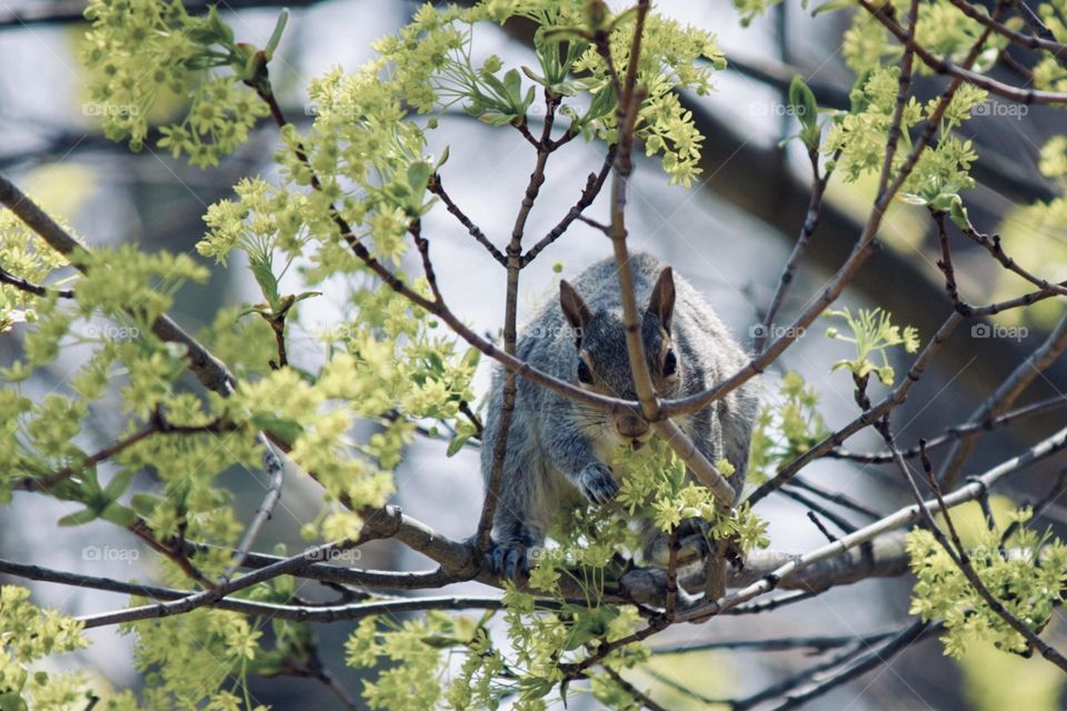 Springtime eating 