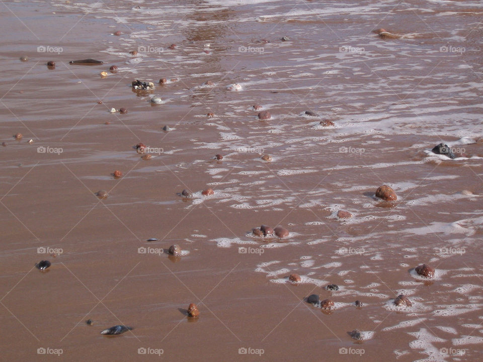 Beach, Water, No Person, Sand, Seashore