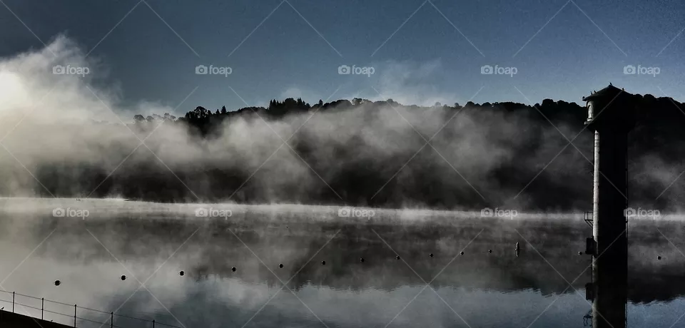Fog