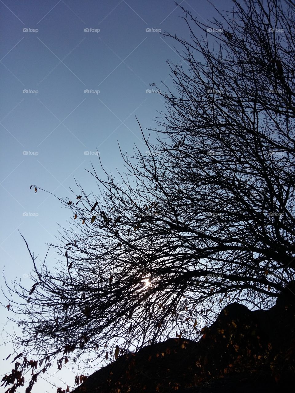 Nature always inspires.