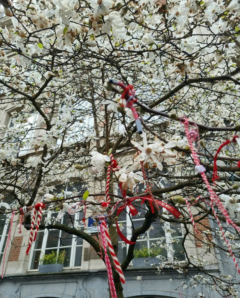 Martenice are worn until the arrival of the first storks or swallows, or until the first song of the cuckoo...