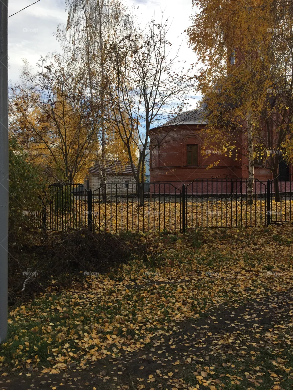 Autumn 