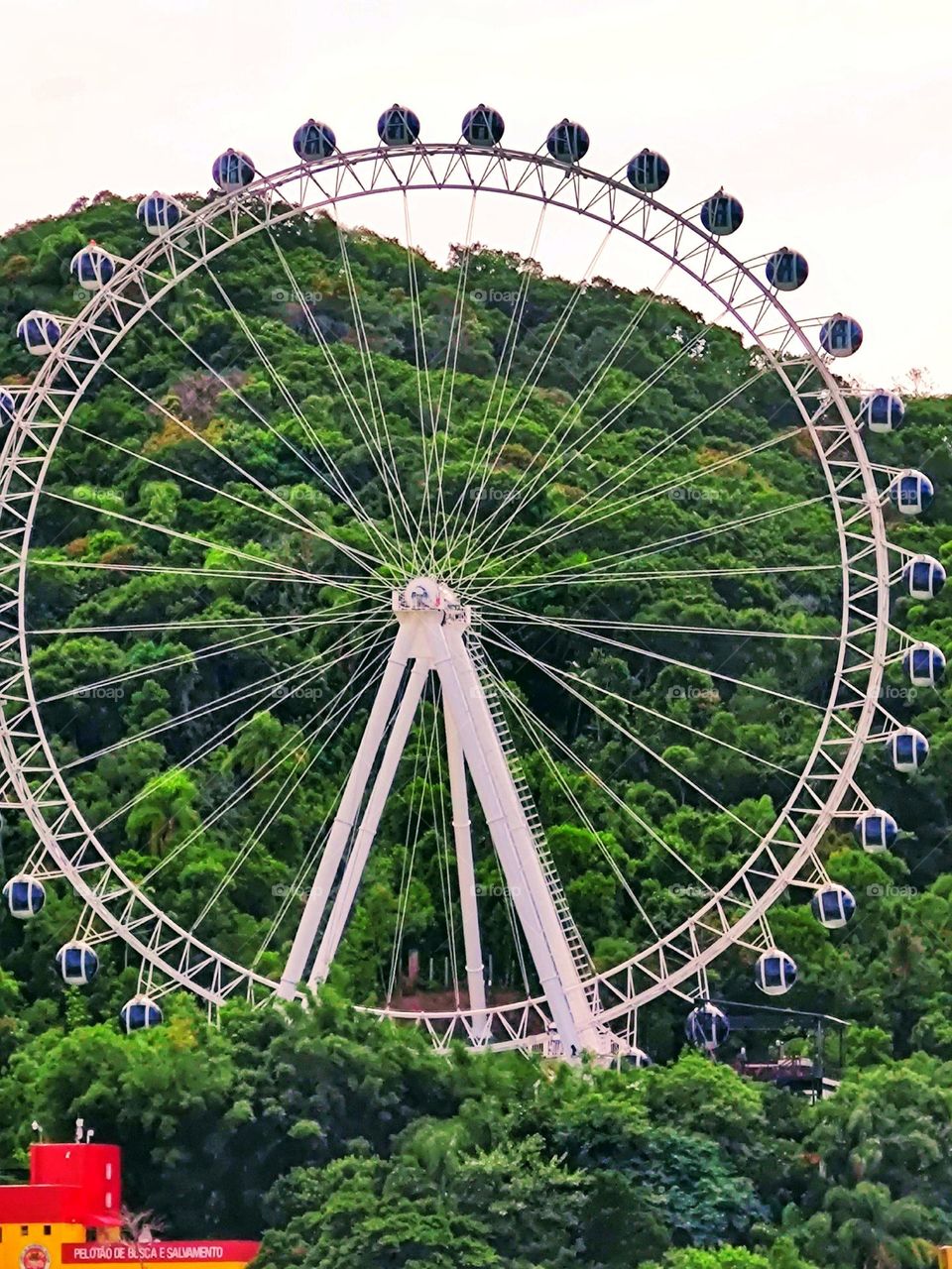 Ferris wheel.