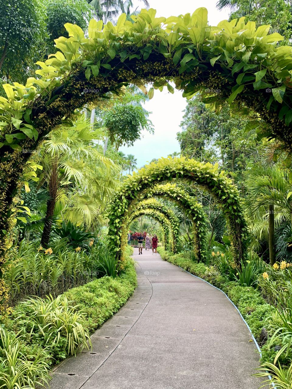 Garden archway
