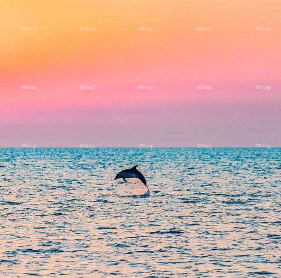 Rovinj from city Croatia