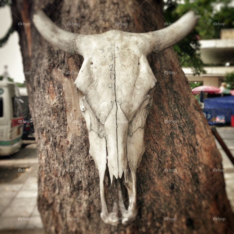 Street art in Bangkok 