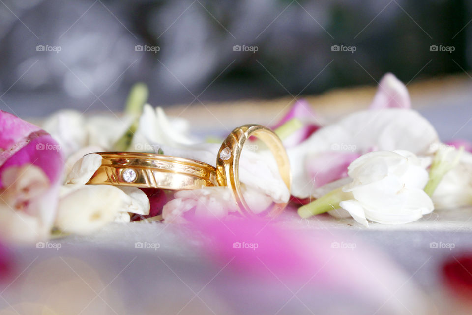 Wedding ring photography for advertising high quality and special on foap. Donate to us by buying this picture. Thank You and Happy Wedding.