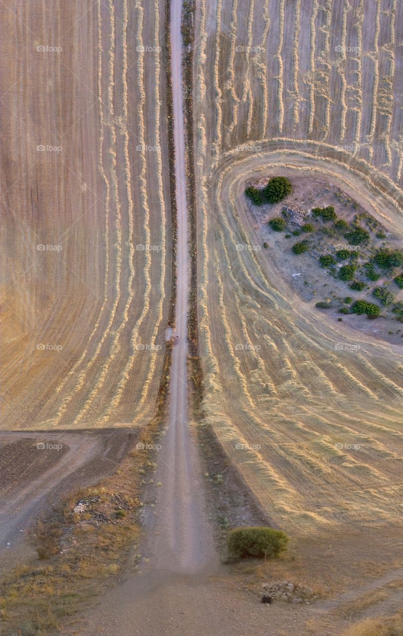 Mowed wheat fields in Spain