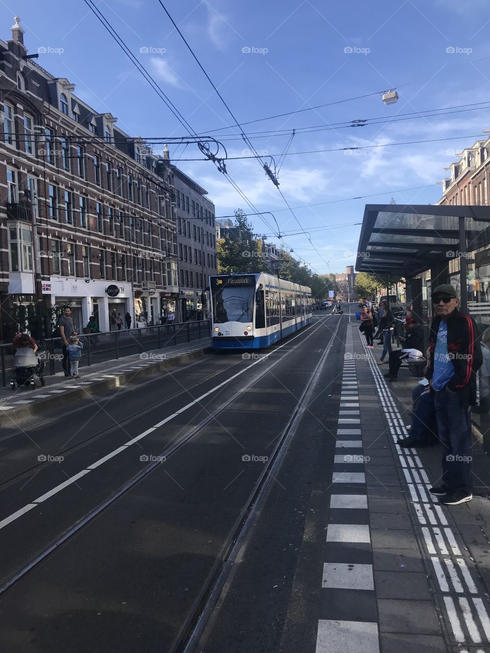 Trams in Amsterdam 