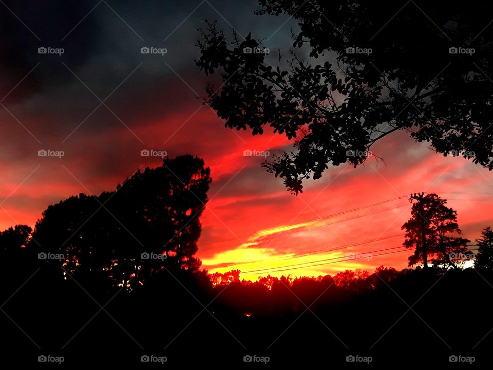 Skyscape Embers