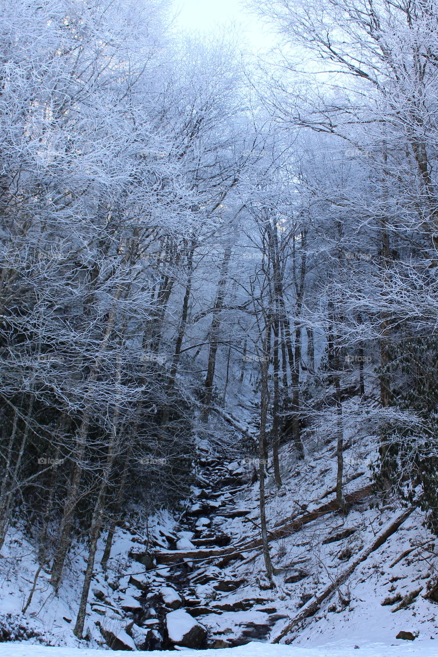 Frozen stream