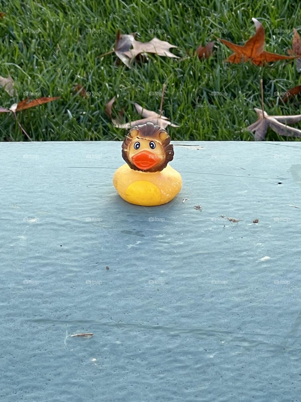 Rubber Ducky