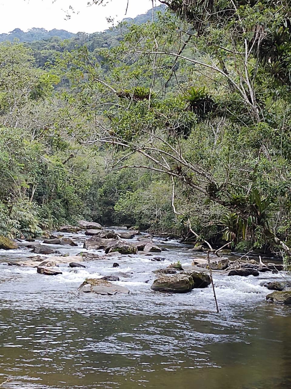 Serra da Bocaina.