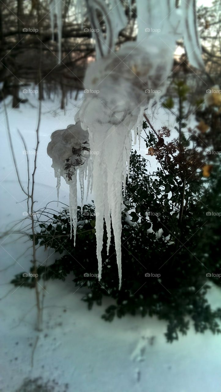 Icicles