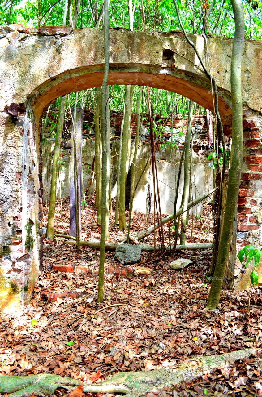 Abandoned sugar plantation, Vieques, PR