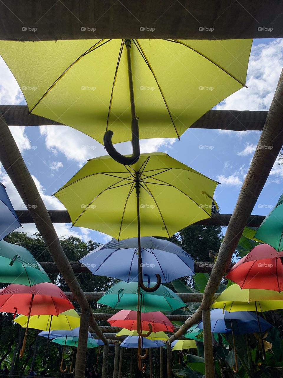 Colorful Umbrellas in row